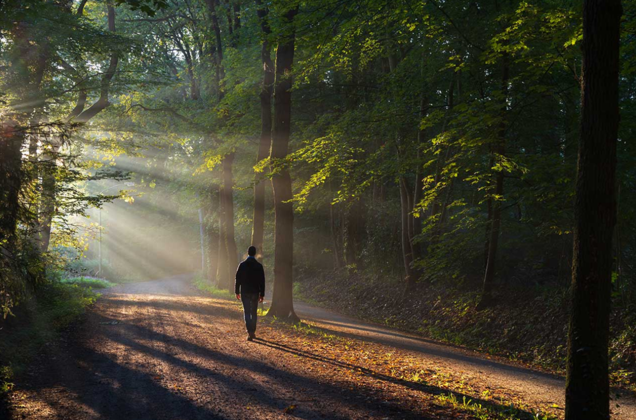 How to Use Nature Walks for Mindful Meditation