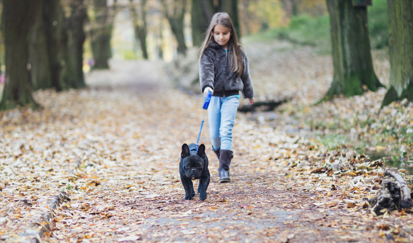 How Pets Can Benefit Your Child’s Development